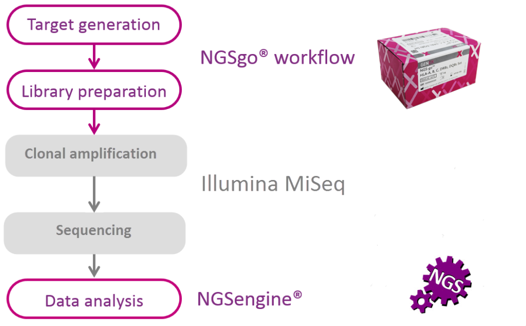 Ngsgo Hla Typing Workflow On Illumina Platform Shiva Scientific Company