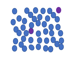 Chimerism Monitoring